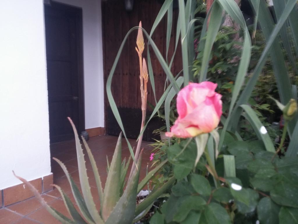 Balcon Del Velillos-"Rincon De Marcelo" Tozar 외부 사진