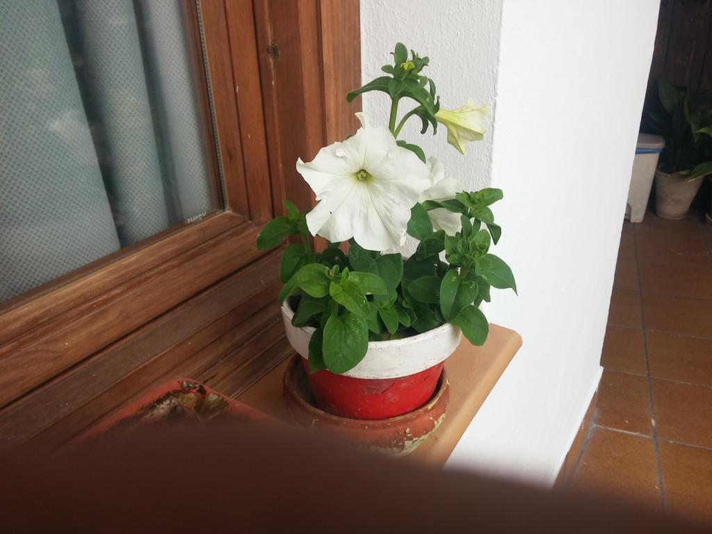 Balcon Del Velillos-"Rincon De Marcelo" Tozar 외부 사진